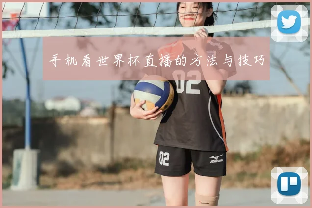 手机看世界杯直播的方法与技巧