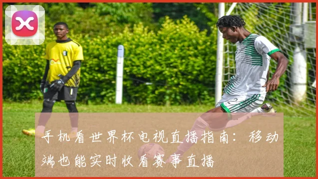 手机看世界杯电视直播指南:移动端也能实时收看赛事直播