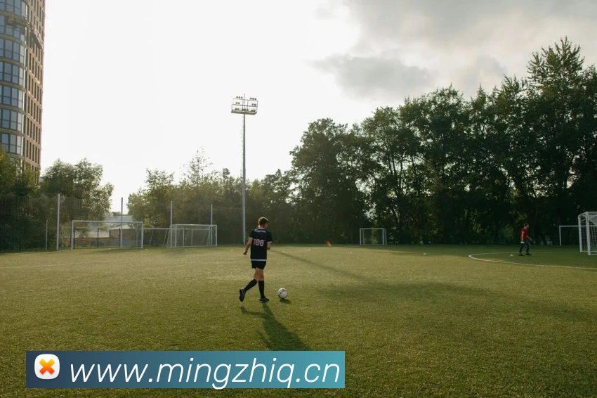 多媒体互动体验